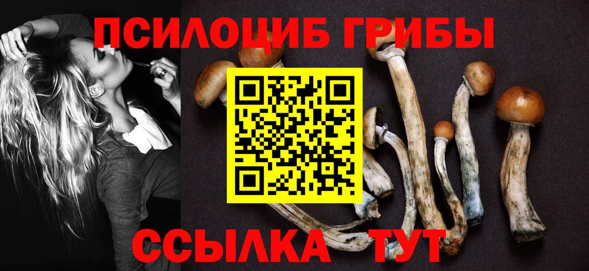 Елец  Псилоцибиновые грибы MAGIC MUSHROOMS  Вход с VPN 